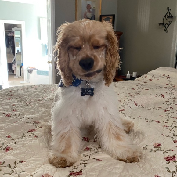 Meet your Posher, Gaylyn - Picture 3 of 11